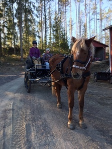 Puheenjohtaja Maiju Pyykkö heppa ajelulla Savitaipaleen Reumareippaiden kuukausi kokoontumisessa