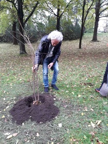 kaupunginpuutarhuri Hannu Tolonen